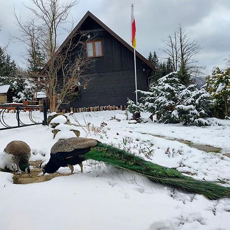 Beskidzka Ostoja Koszarawa Dış mekan fotoğraf