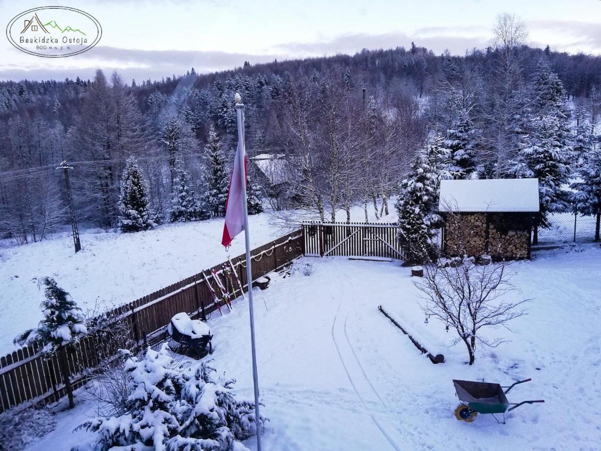 Beskidzka Ostoja Koszarawa Dış mekan fotoğraf