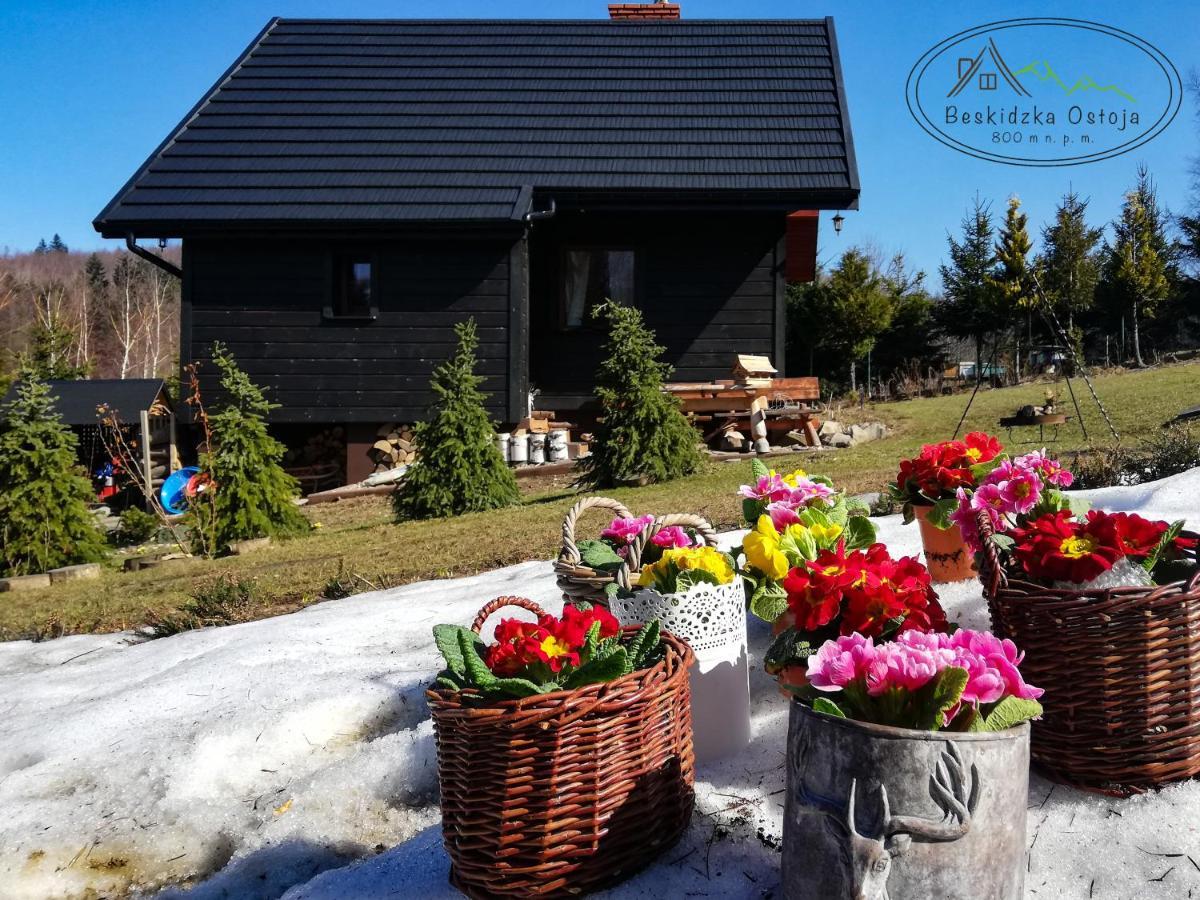 Beskidzka Ostoja Koszarawa Dış mekan fotoğraf